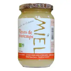 Miel de fleurs de printemps 500.jpg